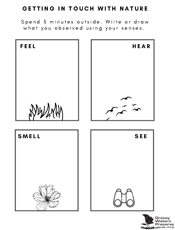 thumbnail image of in touch with nature senses worksheet