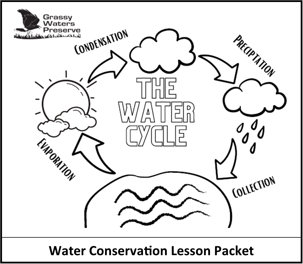 thumbnail image of water conservation worksheet