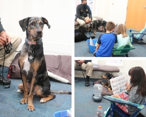 Photos of Daya the dog and children reading to Daya