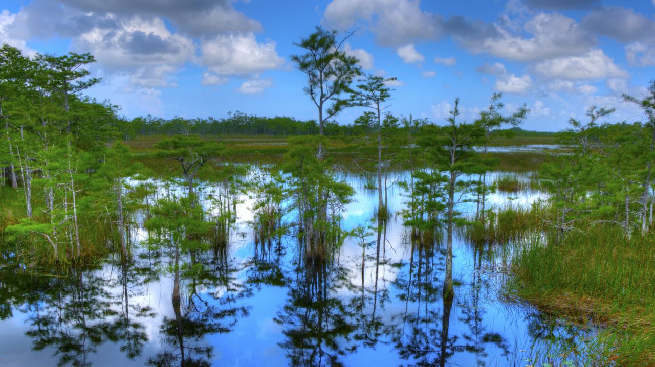 grassy-waters-preserve-lake