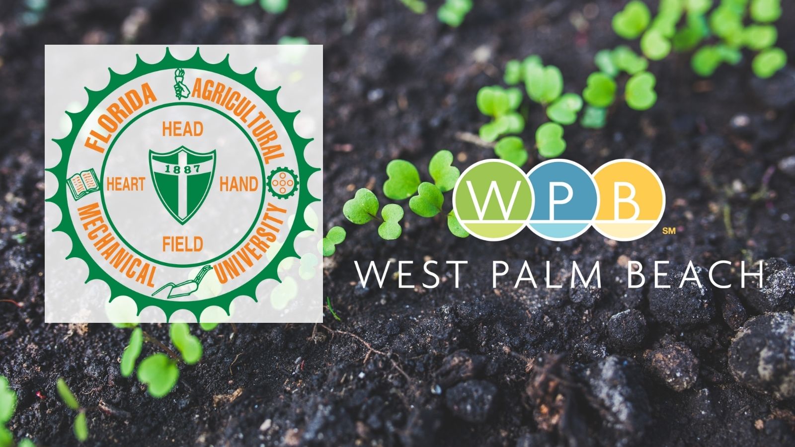 FAMU and WPB (Twitter Post)