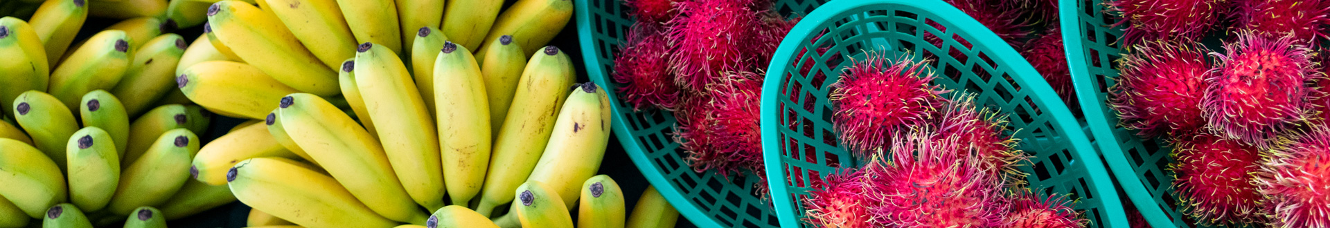 West Palm Beach GreenMarket Fruit