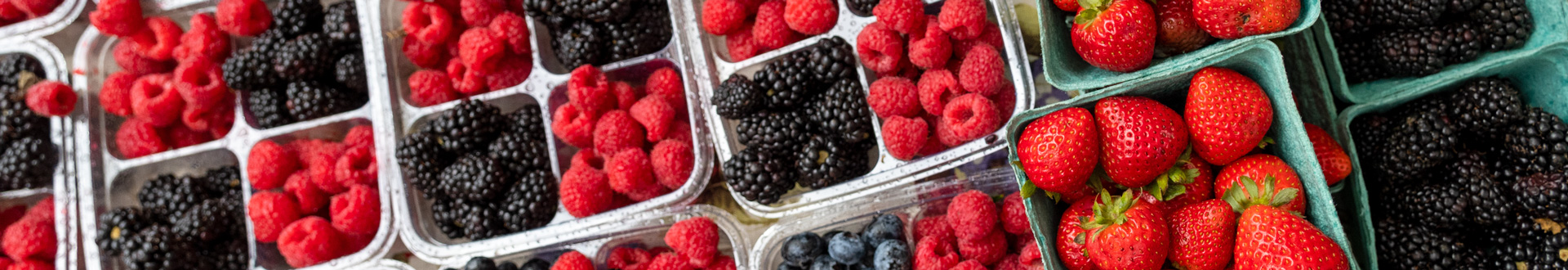 West Palm Beach GreenMarket Fruit