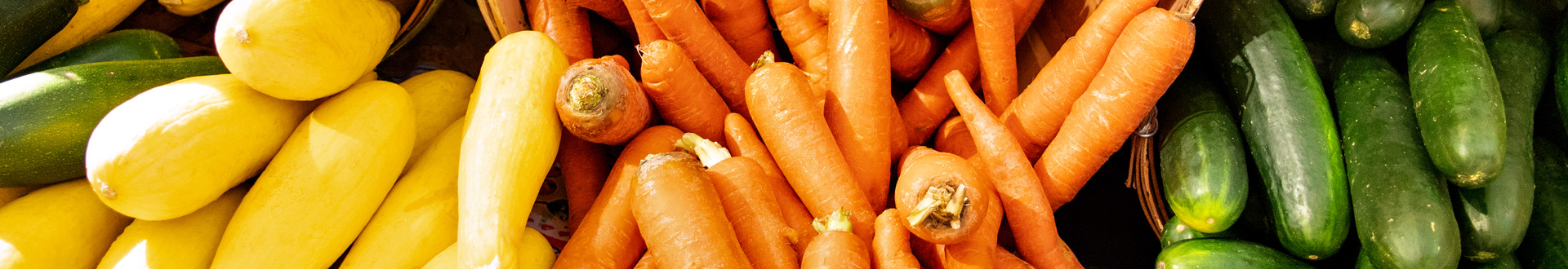 West Palm Beach GreenMarket Vegetables