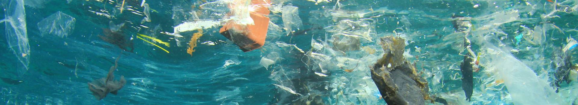 Plastic Pollution