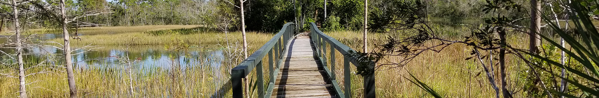 Eagle Trail