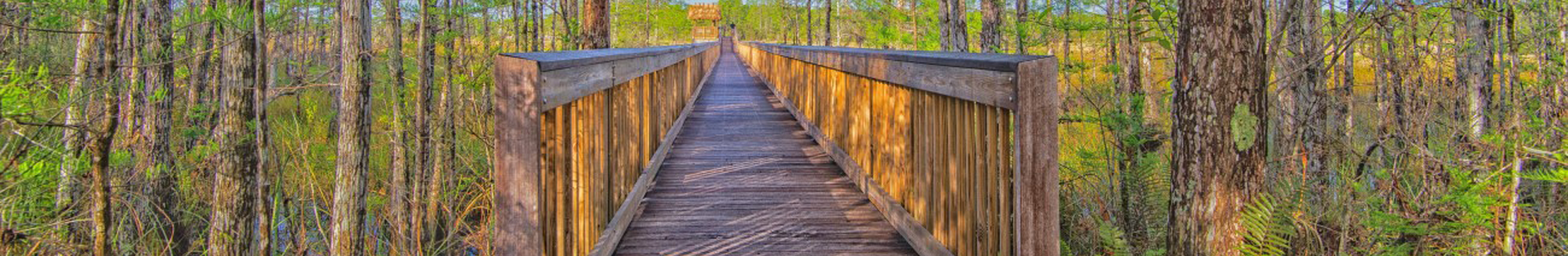 boardwalk 1920x315