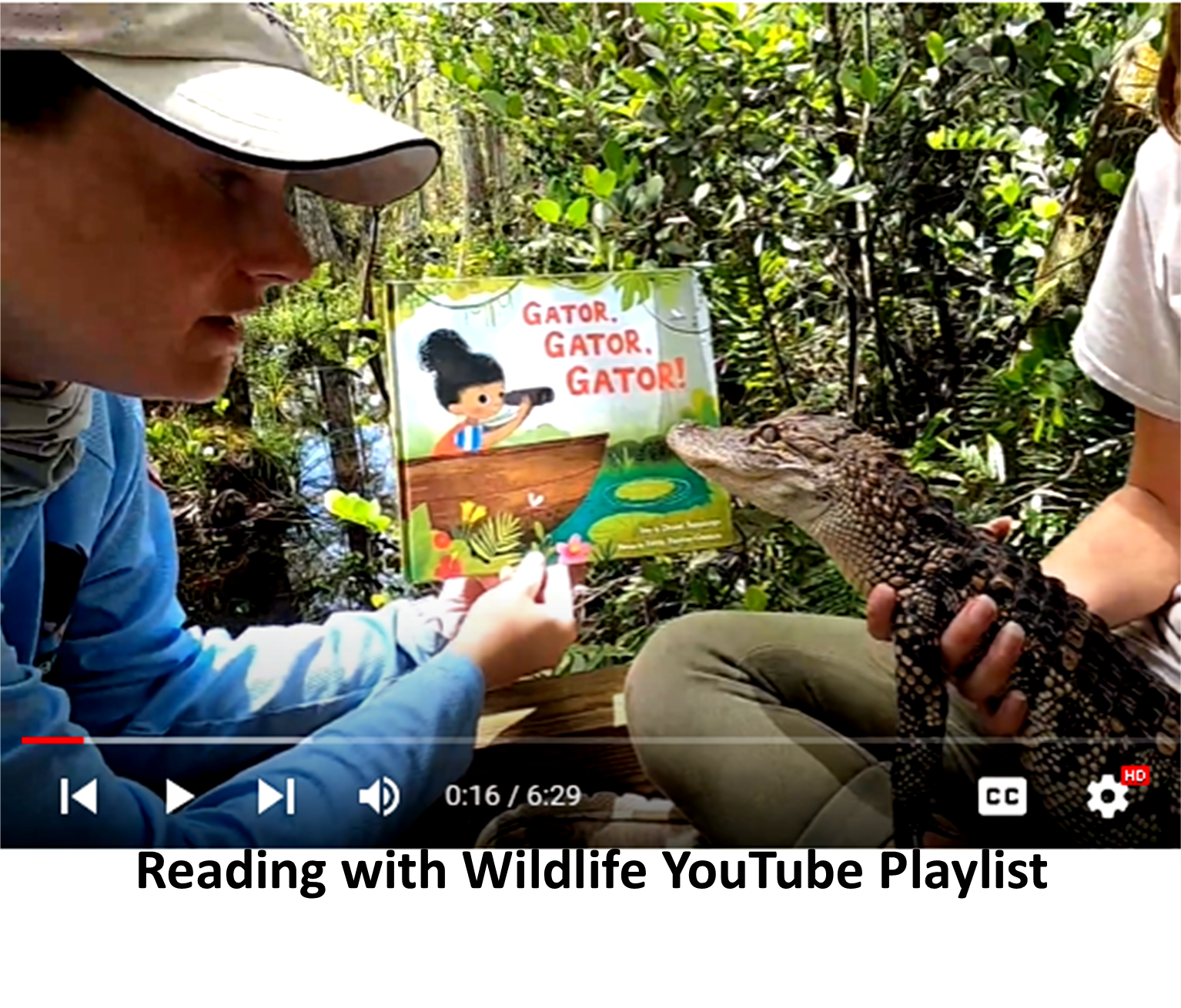 Thumbnail image of storybook being read to young alligator linking to youtube playlist titled reading with wildlife